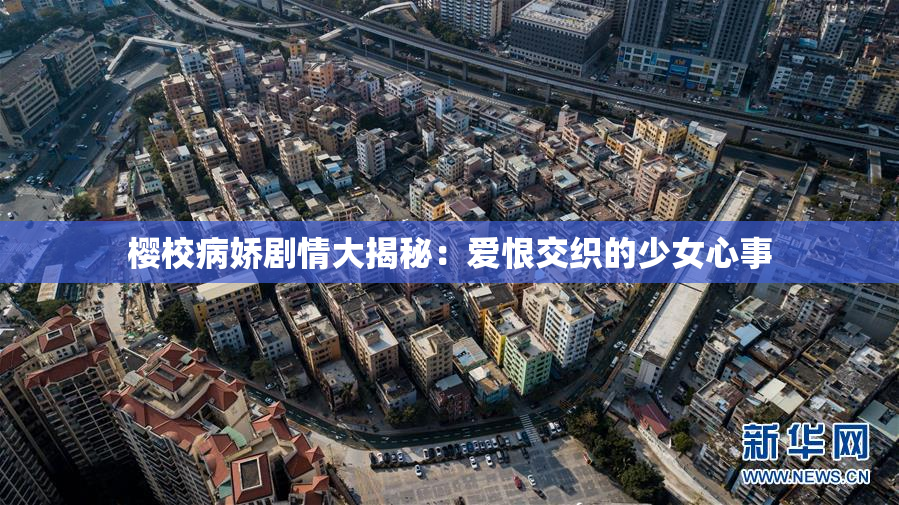樱校病娇剧情大揭秘：爱恨交织的少女心事