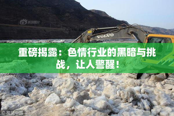 重磅揭露：色情行业的黑暗与挑战，让人警醒！
