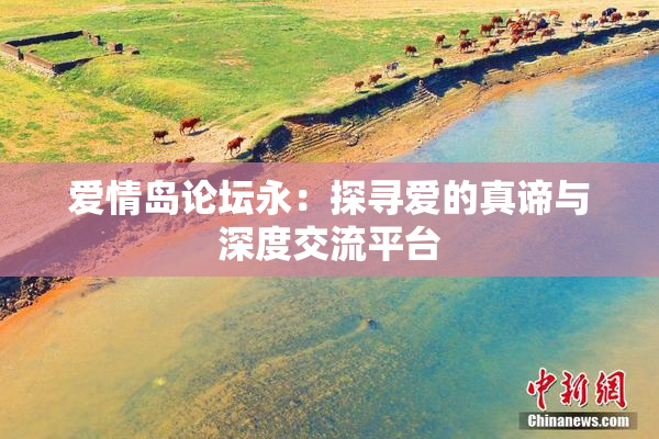 爱情岛论坛永：探寻爱的真谛与深度交流平台
