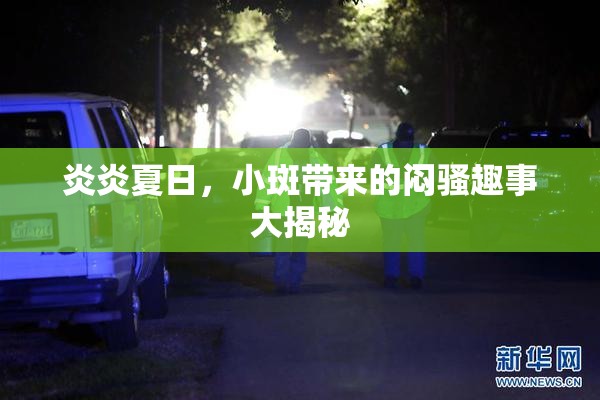 炎炎夏日，小斑带来的闷骚趣事大揭秘