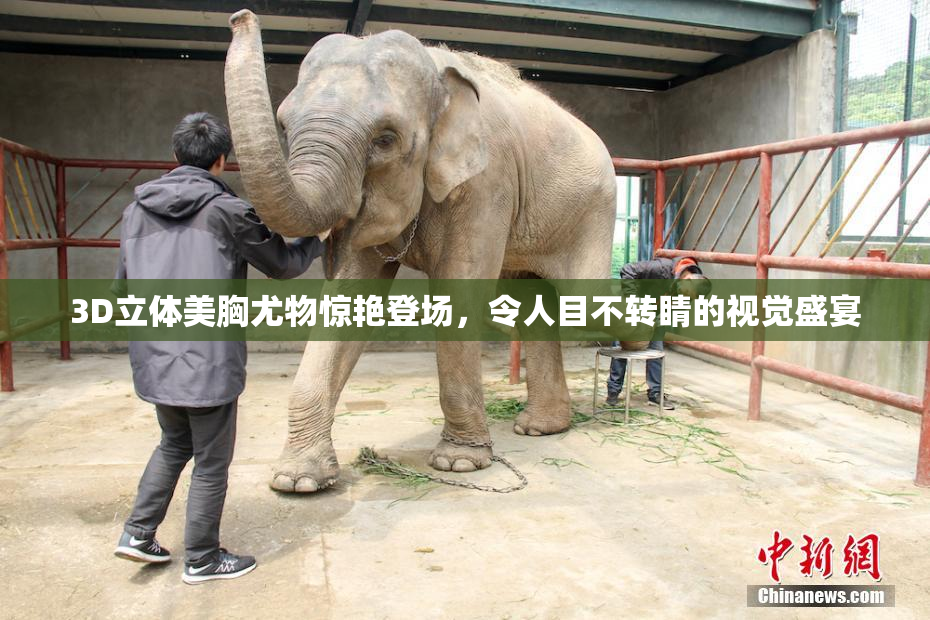 3D立体美胸尤物惊艳登场，令人目不转睛的视觉盛宴