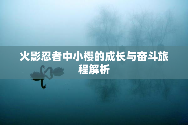 火影忍者中小樱的成长与奋斗旅程解析