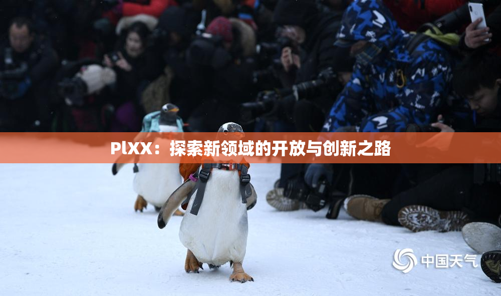 PlXX：探索新领域的开放与创新之路