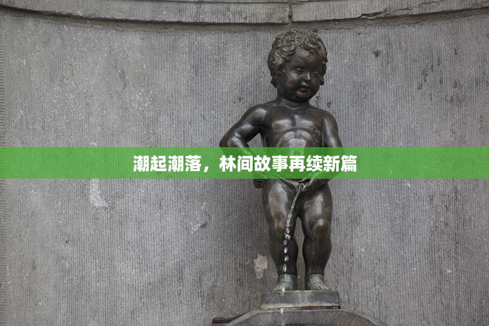 潮起潮落，林间故事再续新篇