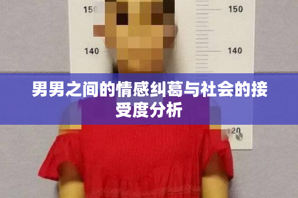男男之间的情感纠葛与社会的接受度分析