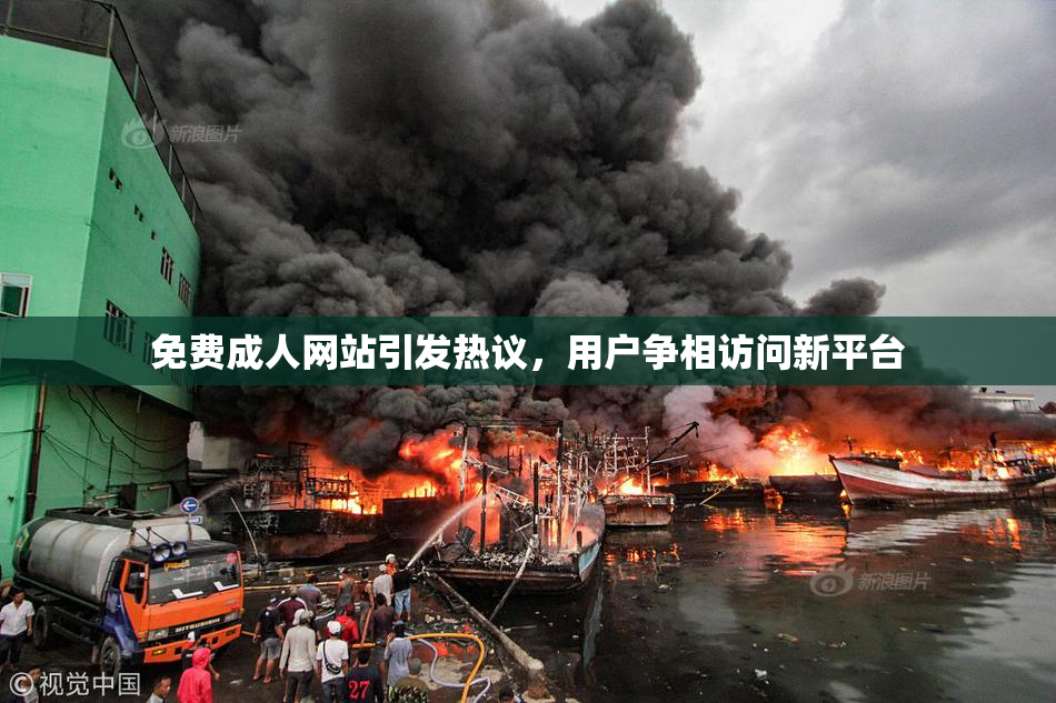 免费成人网站引发热议，用户争相访问新平台