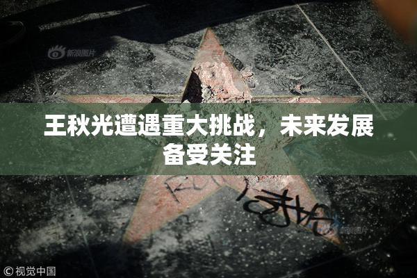 王秋光遭遇重大挑战，未来发展备受关注