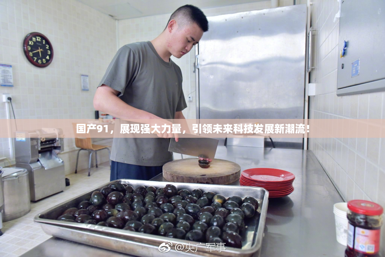 国产91，展现强大力量，引领未来科技发展新潮流！