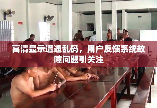 高清显示遭遇乱码，用户反馈系统故障问题引关注