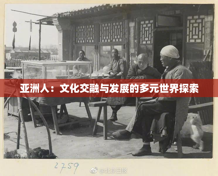 亚洲人：文化交融与发展的多元世界探索