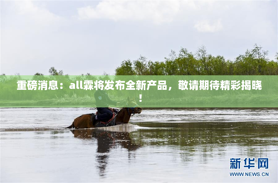 重磅消息：all霖将发布全新产品，敬请期待精彩揭晓！