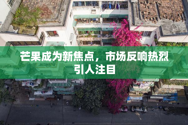 芒果成为新焦点，市场反响热烈引人注目