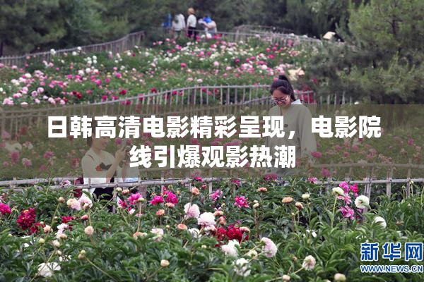 日韩高清电影精彩呈现，电影院线引爆观影热潮