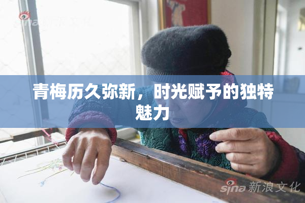青梅历久弥新，时光赋予的独特魅力