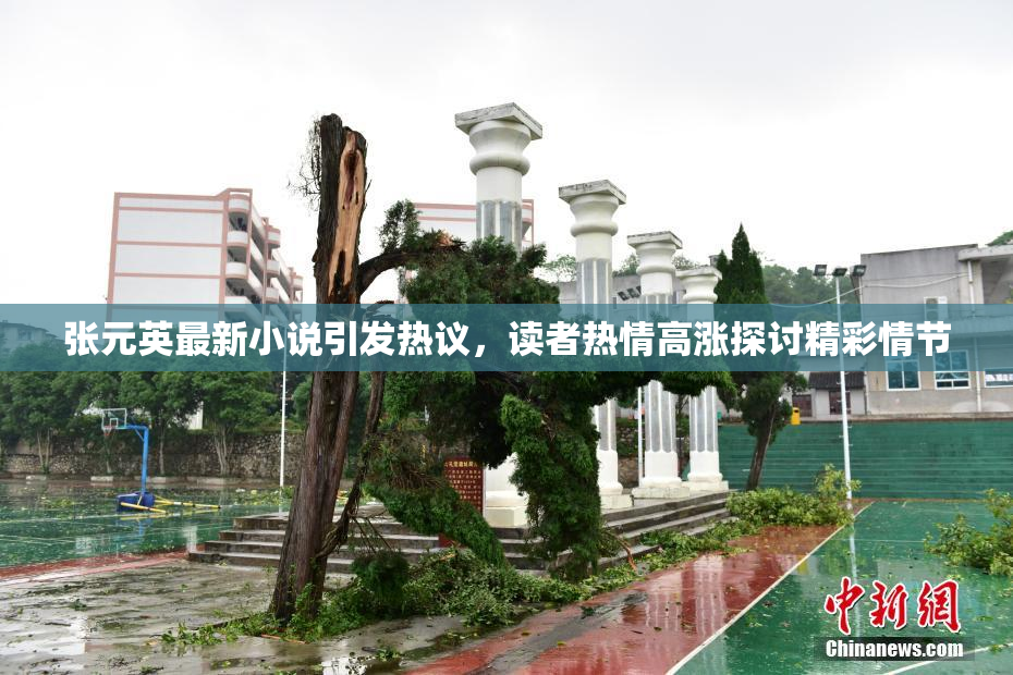 张元英最新小说引发热议，读者热情高涨探讨精彩情节