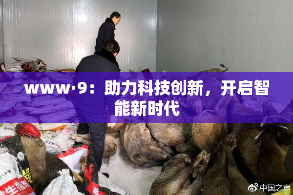 www·9：助力科技创新，开启智能新时代