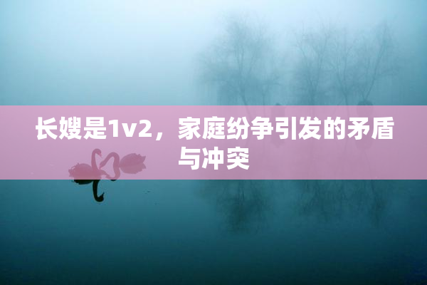 长嫂是1v2，家庭纷争引发的矛盾与冲突