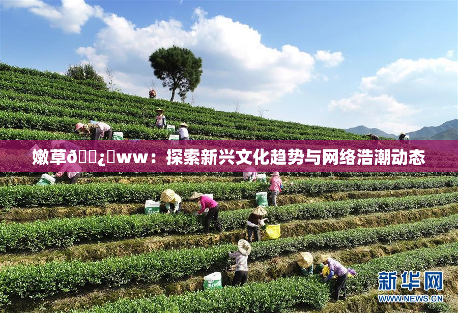 嫩草🌿‌ww：探索新兴文化趋势与网络浩潮动态