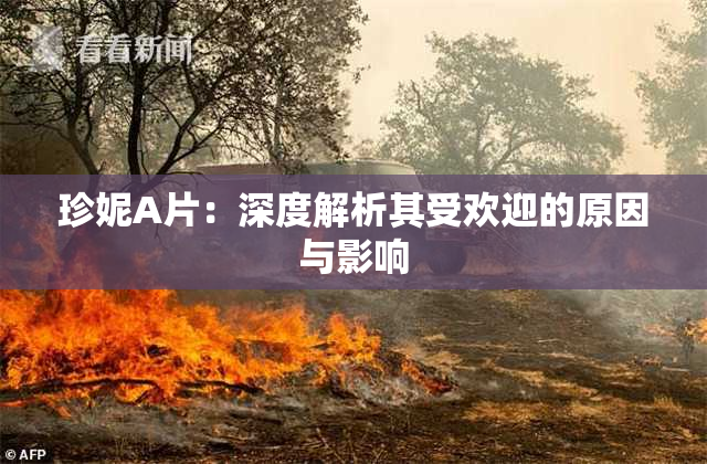珍妮A片：深度解析其受欢迎的原因与影响