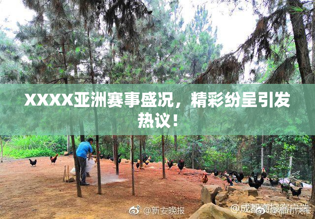 XXXX亚洲赛事盛况，精彩纷呈引发热议！