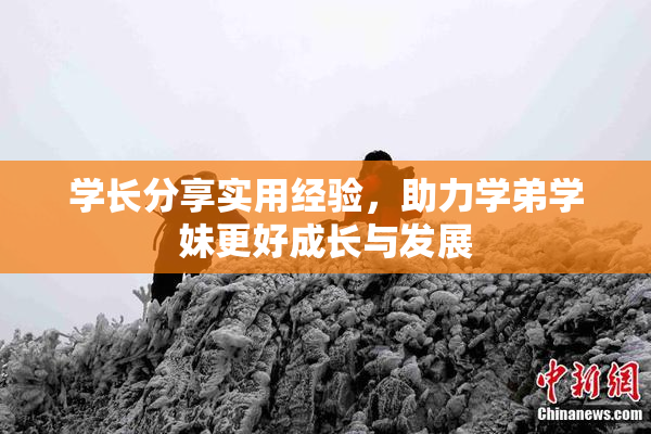 学长分享实用经验，助力学弟学妹更好成长与发展