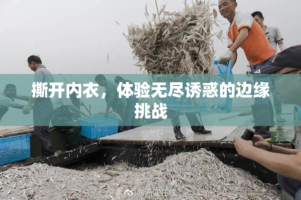 撕开内衣，体验无尽诱惑的边缘挑战