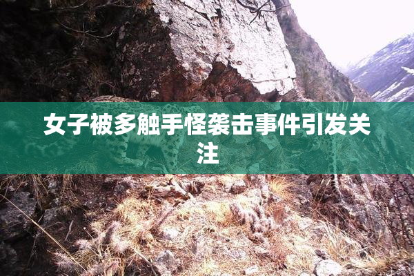 女子被多触手怪袭击事件引发关注