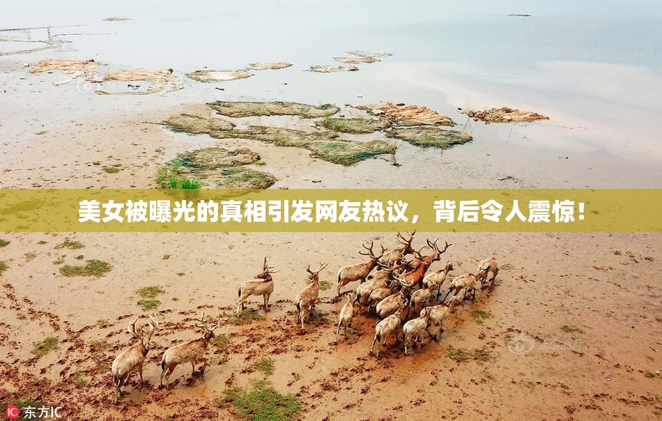 美女被曝光的真相引发网友热议，背后令人震惊！