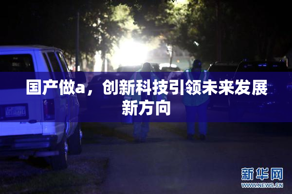 国产做a，创新科技引领未来发展新方向
