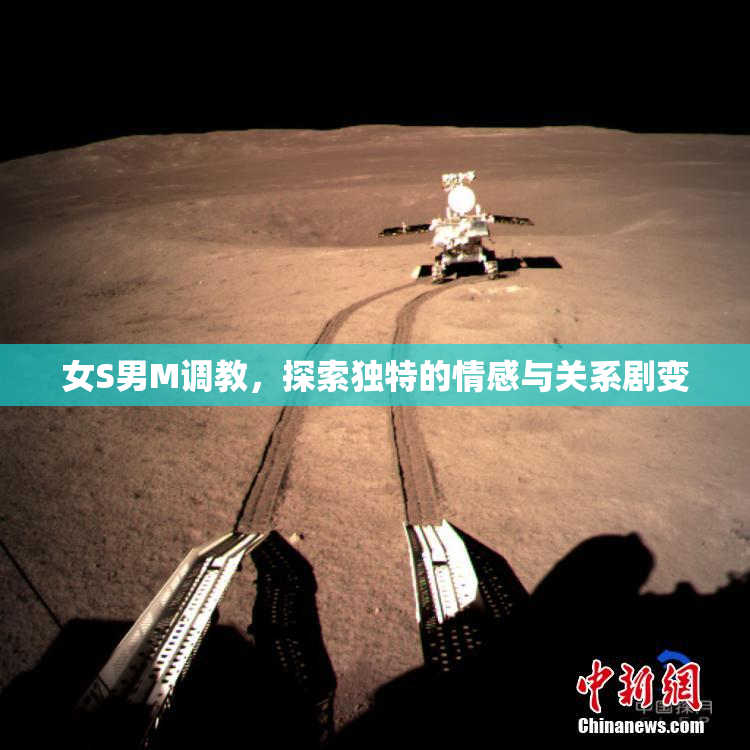 女S男M调教，探索独特的情感与关系剧变