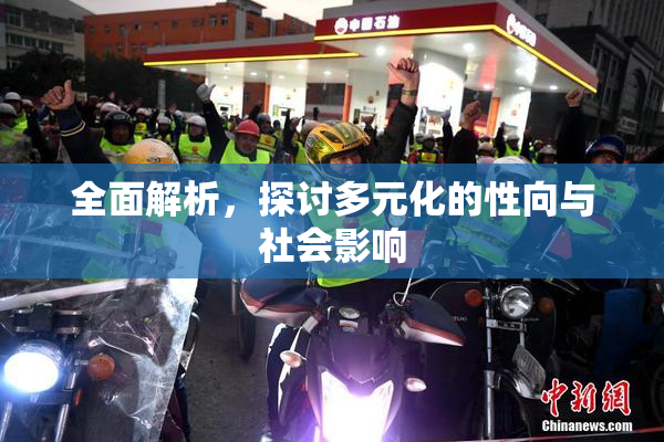 全面解析，探讨多元化的性向与社会影响