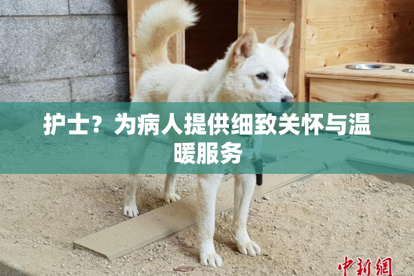 护士？为病人提供细致关怀与温暖服务