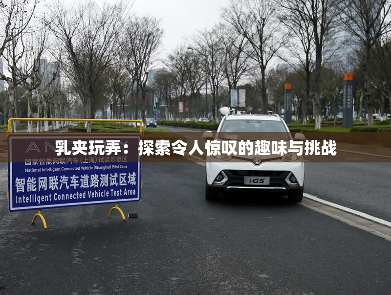 乳夹玩弄：探索令人惊叹的趣味与挑战