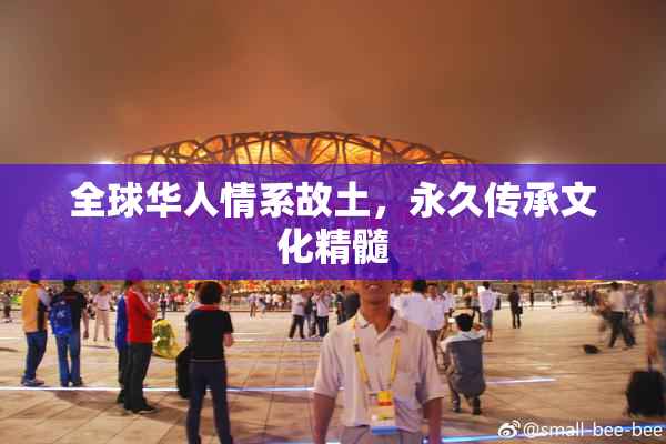 全球华人情系故土，永久传承文化精髓