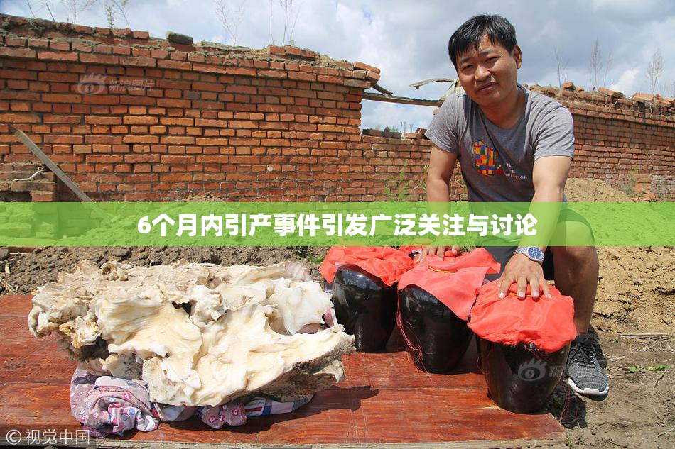 6个月内引产事件引发广泛关注与讨论