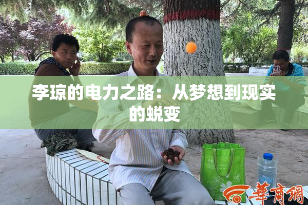 李琼的电力之路：从梦想到现实的蜕变