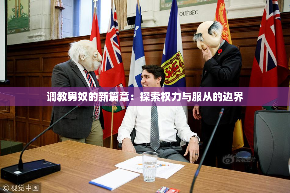 调教男奴的新篇章：探索权力与服从的边界