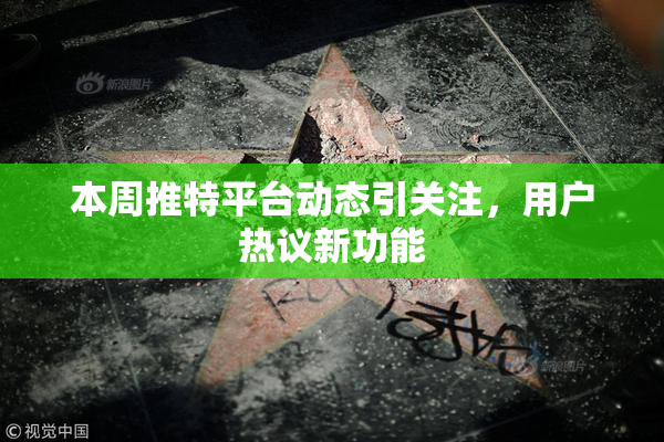 本周推特平台动态引关注，用户热议新功能