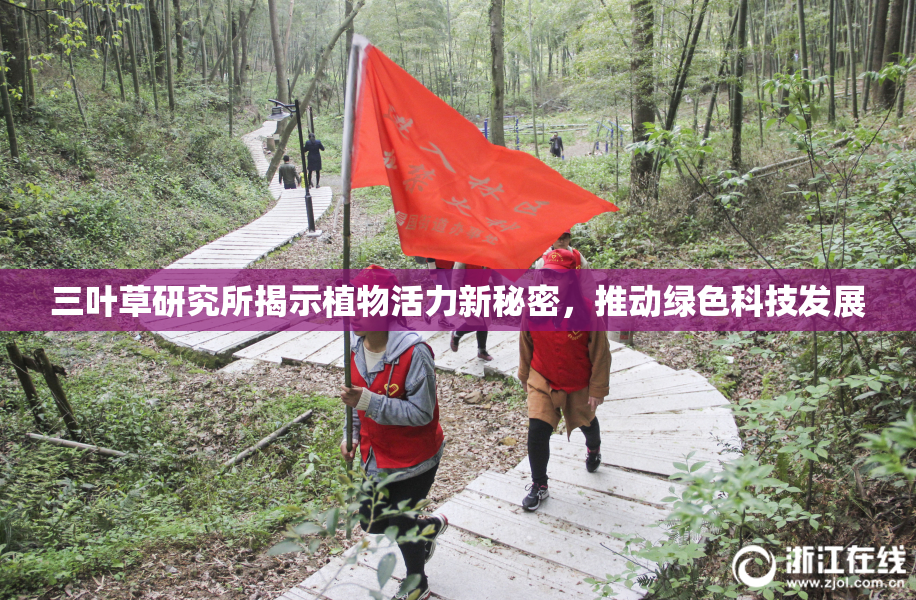 三叶草研究所揭示植物活力新秘密，推动绿色科技发展