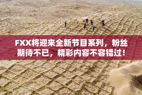 FXX将迎来全新节目系列，粉丝期待不已，精彩内容不容错过！