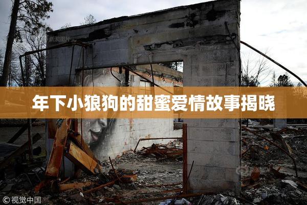 年下小狼狗的甜蜜爱情故事揭晓