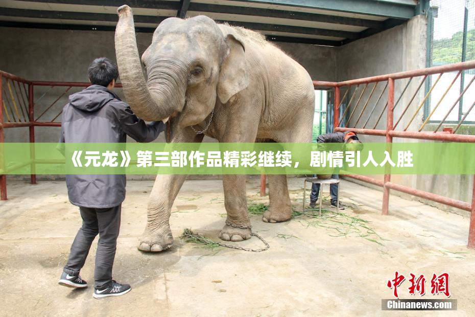 《元龙》第三部作品精彩继续，剧情引人入胜