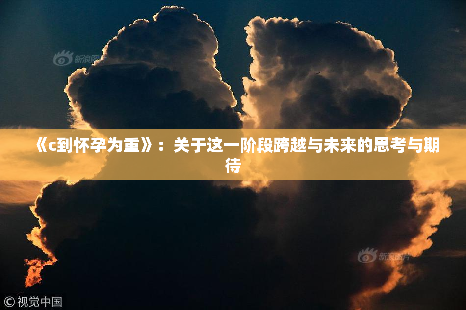《c到怀孕为重》：关于这一阶段跨越与未来的思考与期待