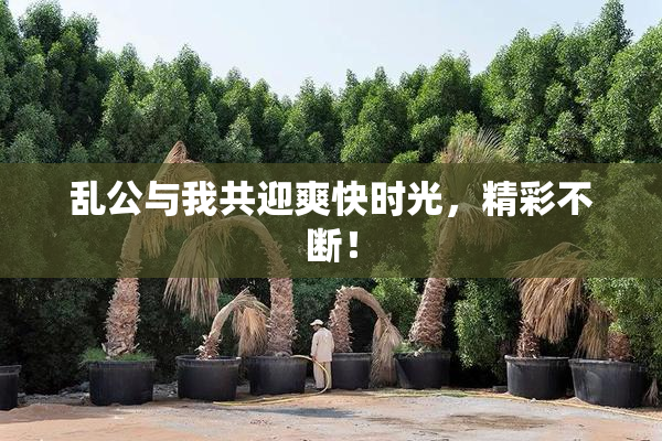 乱公与我共迎爽快时光，精彩不断！