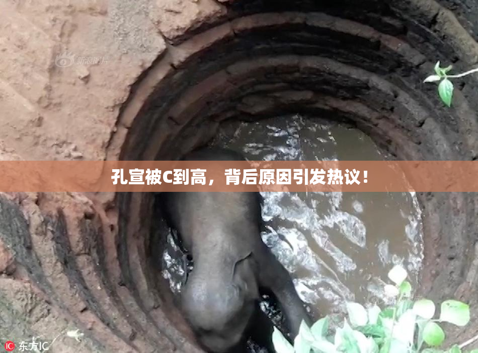 孔宣被C到高，背后原因引发热议！