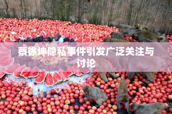 蔡徐坤隐私事件引发广泛关注与讨论