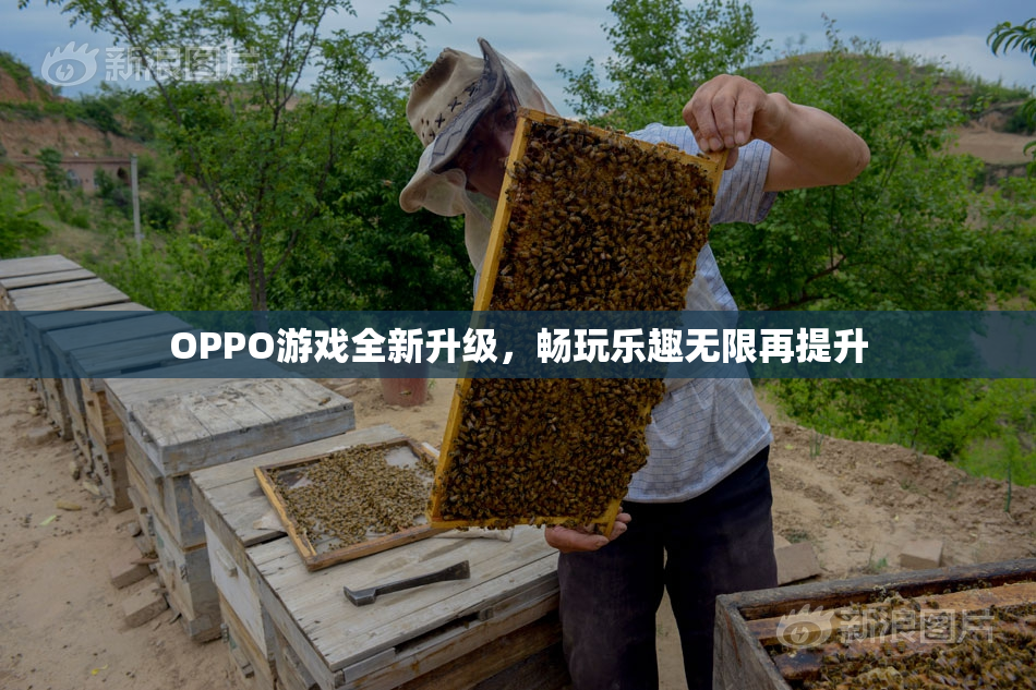 OPPO游戏全新升级，畅玩乐趣无限再提升