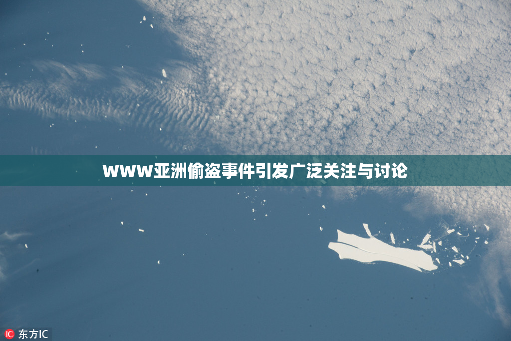 WWW亚洲偷盗事件引发广泛关注与讨论