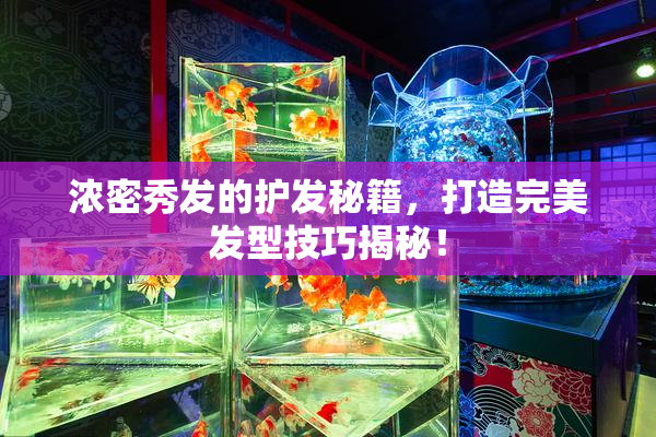 浓密秀发的护发秘籍，打造完美发型技巧揭秘！