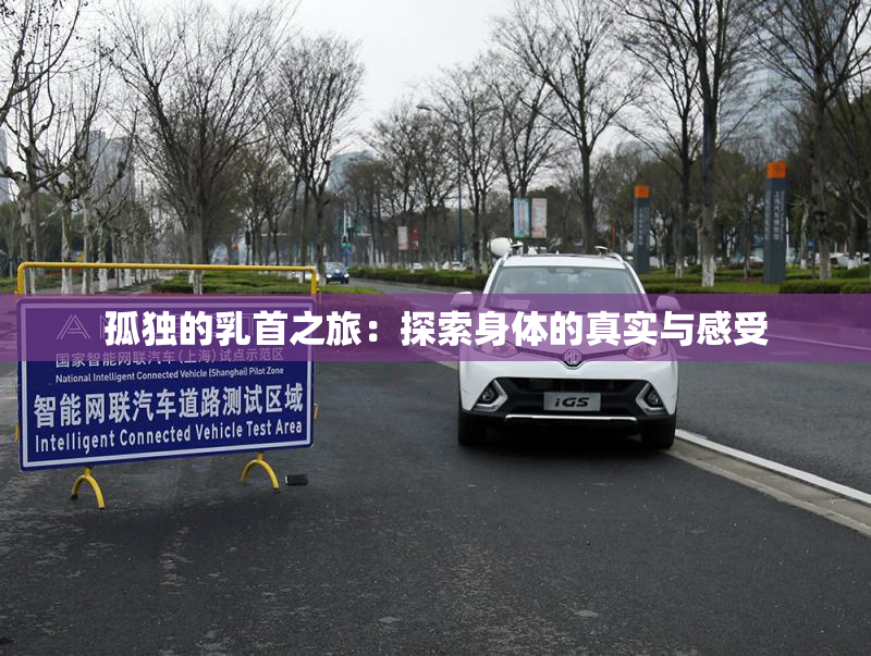 孤独的乳首之旅：探索身体的真实与感受